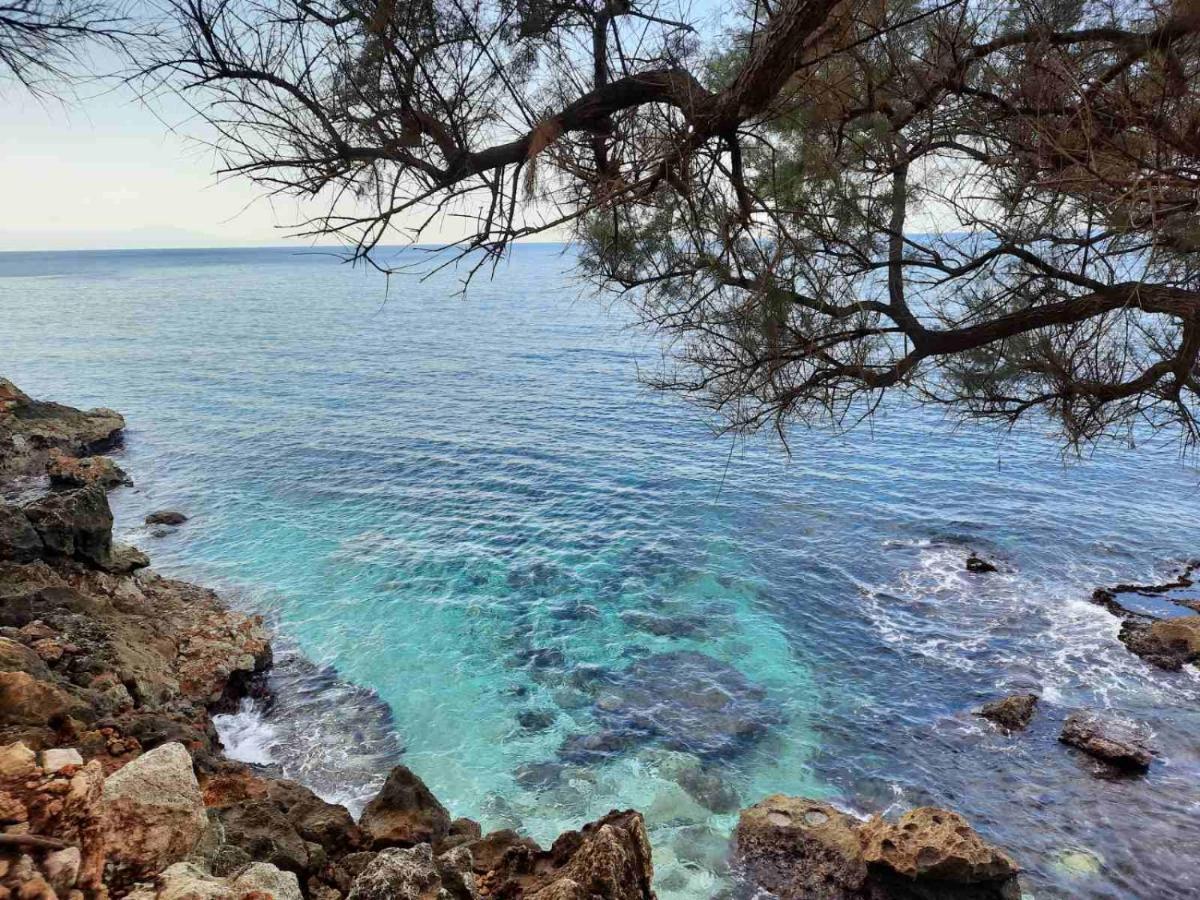 New Sea Escape Boutique Apt-Agii Aposto Li Beach Chania  Exterior foto